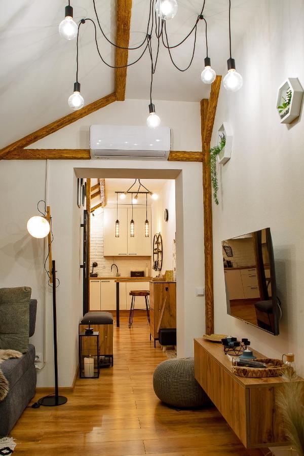Old Town Loft Apartments Каменец-Подольский Экстерьер фото